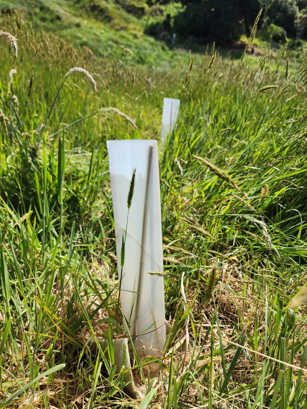 PolyNatural  Plant Sleeve + 2 x Bamboo Stake