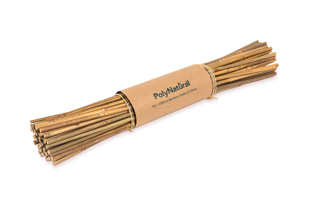 600mm Bamboo Stakes | 50 Pack